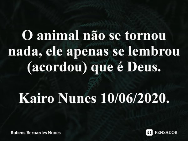 ⁠O animal não se tornou nada, ele apenas se lembrou (acordou) que é Deus. Kairo Nunes 10/06/2020.... Frase de Rubens Bernardes Nunes.