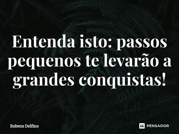 ⁠Entenda isto: passos pequenos te levarão a grandes conquistas!... Frase de Rubens Delfino.