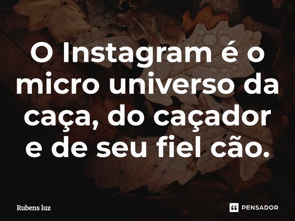 ⁠O Instagram é o micro universo da caça, do caçador e de seu fiel cão.... Frase de Rubens Luz.