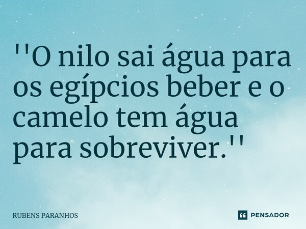 ''⁠O nilo sai água para os egípcios beber e o camelo tem água para sobreviver.''... Frase de RUBENS PARANHOS.