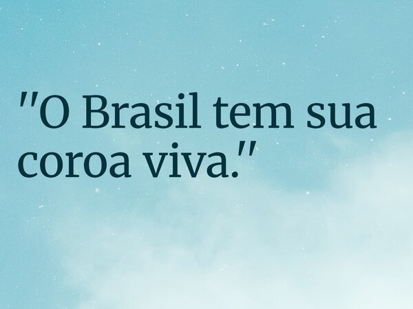 ''O Brasil tem sua coroa viva.''... Frase de RUBENSPARANHOS.