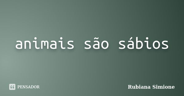 animais são sábios... Frase de Rubiana Simione.