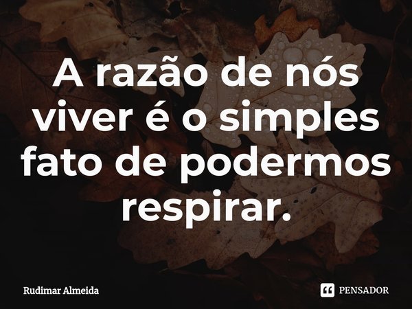 ⁠A razão de nós viver é o simples fato de podermos respirar.... Frase de Rudimar Almeida.