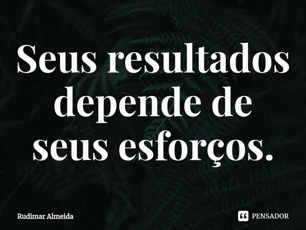 Seus resultados depende de seus esforços.⁠... Frase de Rudimar Almeida.