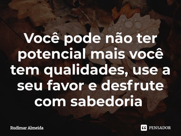 Você pode não ter potencial mais você tem qualidades, use a seu favor e desfrute com sabedoria ⁠... Frase de Rudimar Almeida.