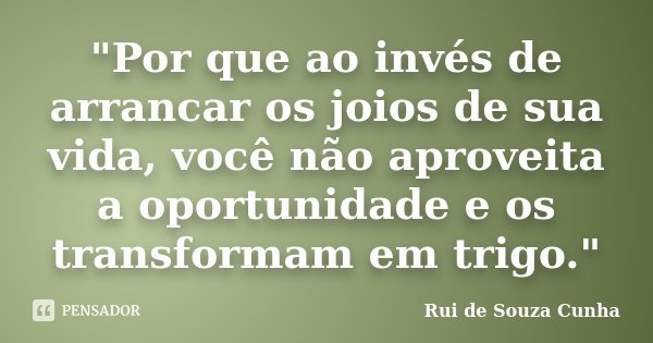 "Por que ao invés de arrancar os joios de sua vida, você não aproveita a oportunidade e os transformam em trigo."... Frase de Rui De Souza Cunha.