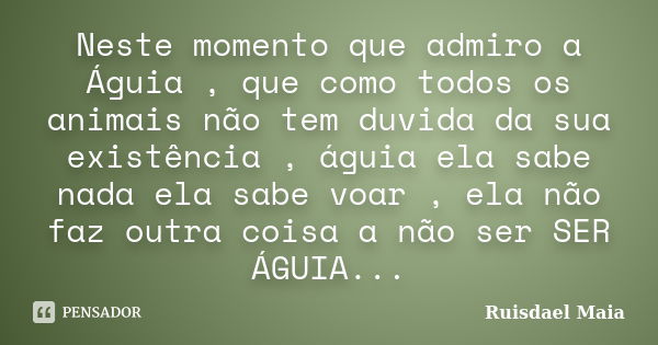 Neste momento que admiro a Águia , que como todos os animais não tem duvida da sua existência , águia ela sabe nada ela sabe voar , ela não faz outra coisa a nã... Frase de Ruisdael Maia.