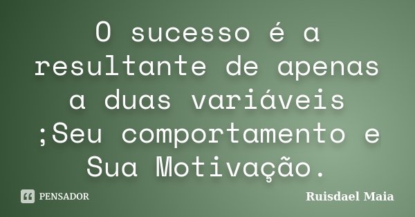 O sucesso é a resultante de apenas a duas variáveis ;Seu comportamento e Sua Motivação.... Frase de Ruisdael Maia.