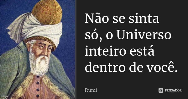 Não se sinta só, o Universo inteiro está dentro de você.... Frase de Rumi.