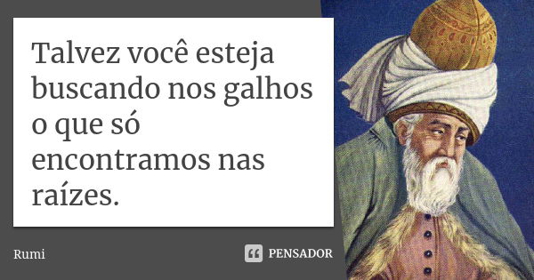 Talvez você esteja buscando nos galhos o que só encontramos nas raízes.... Frase de Rumi.