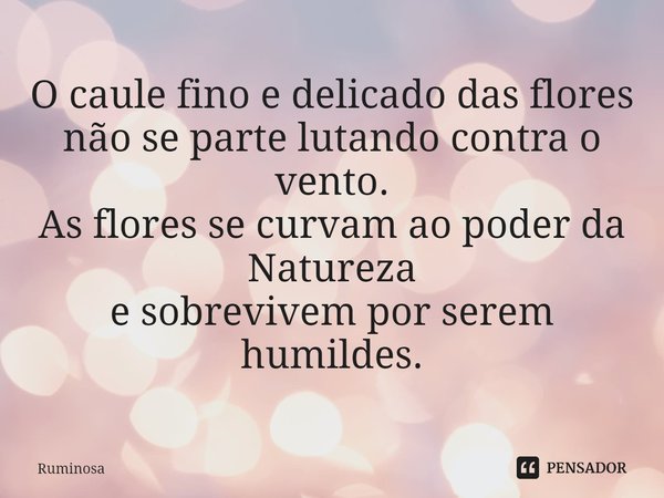 ⁠O caule fino e delicado das flores
não se parte lutando contra o vento.
As flores se curvam ao poder da Natureza
e sobrevivem por serem humildes.... Frase de Ruminosa.