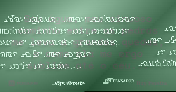 Sou água, meu sinuoso caminho entre as pedras me leva a grandes quedas, e como ela me ergo sublime até o céu...... Frase de Ruy Pereira.