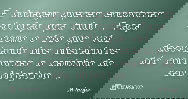 É bobagem querer encontrar solução pra tudo . Faça como o rio que vai desviando dos obstáculos até encontrar o caminho do seu objetivo .... Frase de R.Veiga.