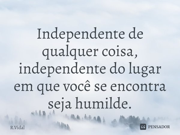 ⁠Independente de qualquer coisa, independente do lugar em que você se encontra seja humilde.... Frase de R.Vidal.