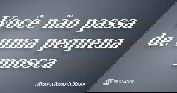 Você não passa de uma pequena mosca... Frase de Ryan Grand Chase.
