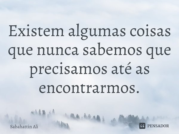 ⁠Existem algumas coisas que nunca sabemos que precisamos até as encontrarmos.... Frase de Sabahattin Ali.