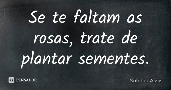 Se te faltam as rosas, trate de plantar sementes.... Frase de Sabrina Assis.