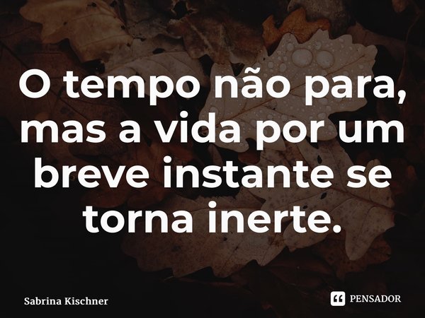 ⁠O tempo não para, mas a vida por um breve instante se torna inerte.... Frase de Sabrina Kischner.