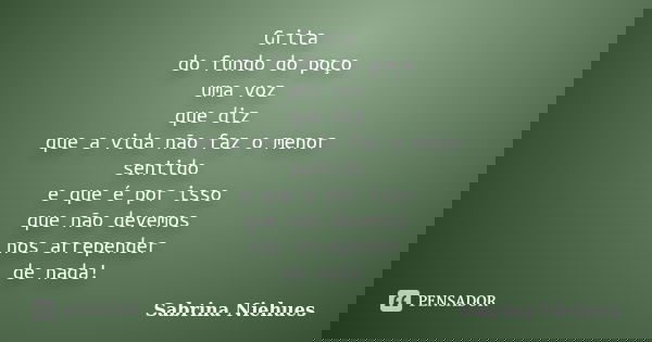 Grita do fundo do poço uma voz que diz que a vida não faz o menor sentido e que é por isso que não devemos nos arrepender de nada!... Frase de Sabrina Niehues.