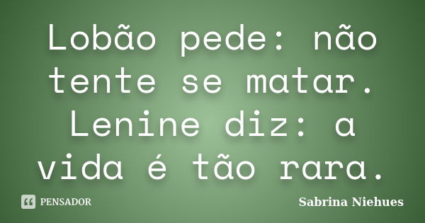 Lobão pede: não tente se matar. Lenine diz: a vida é tão rara.... Frase de Sabrina Niehues.