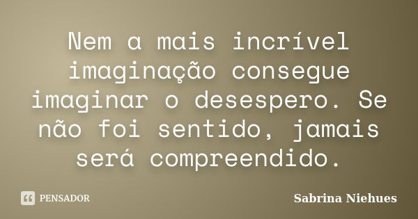 Nem a mais incrível imaginação consegue imaginar o desespero. Se não foi sentido, jamais será compreendido.... Frase de Sabrina Niehues.