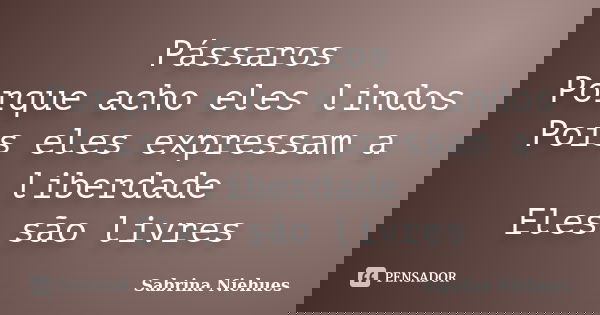 Pássaros Porque acho eles lindos Pois eles expressam a liberdade Eles são livres... Frase de Sabrina Niehues.