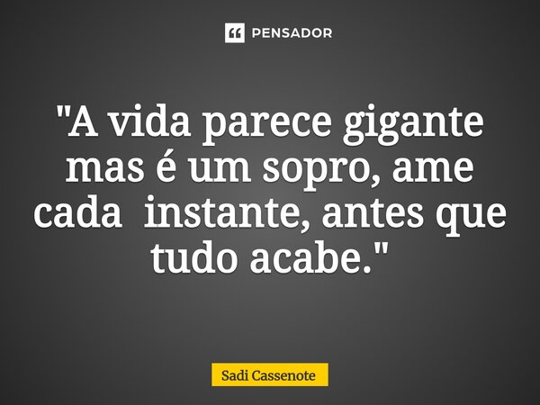⁠"A vida parece gigante mas é um sopro, ame cada instante, antes que tudo acabe."... Frase de Sadi Cassenote.