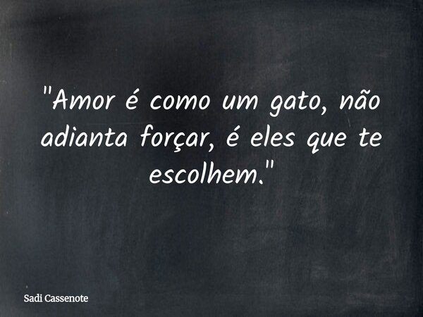 "Amor é como um gato, não adianta forçar, é eles que te escolhem."... Frase de Sadi Cassenote.