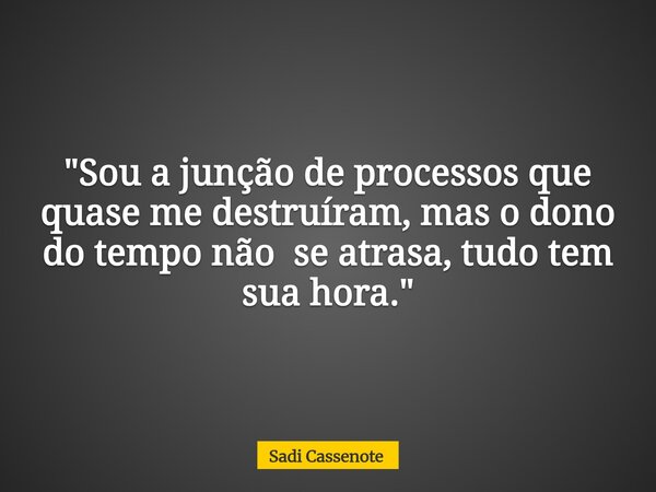 "Sou a junção de processos que quase me destruíram, mas o dono do tempo não se atrasa, tudo tem sua hora."... Frase de Sadi Cassenote.