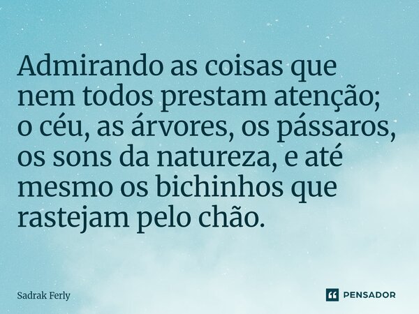 ⁠Admirando as coisas que nem todos prestam atenção; o céu, as árvores, os pássaros, os sons da natureza, e até mesmo os bichinhos que rastejam pelo chão.... Frase de Sadrak Ferly.