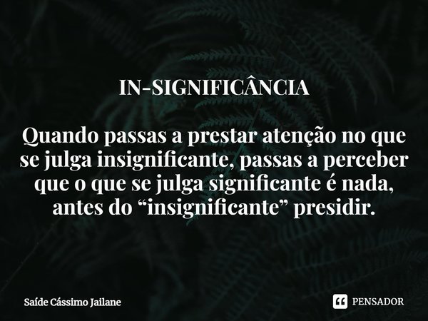 IN-SIGNIFICÂNCIA Quando passas a prestar atenção no que se julga insignificante, passas a perceber que o que se julga significante é nada, antes do “insignifica... Frase de Saíde Cássimo Jailane.