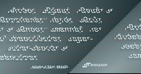 Antes, Biguá, Pavão e Garrincha; hoje, Galo, Pato e Ganso; amanhã, no futebol brasileiro, caga-sebo, vira-bosta e cambaxirra.... Frase de Saint-Clair Mello.