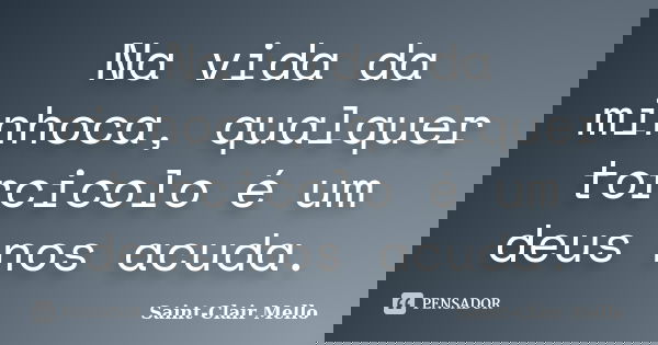 Na vida da minhoca, qualquer torcicolo é um deus nos acuda.... Frase de Saint-Clair Mello.