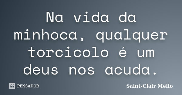 Na vida da minhoca, qualquer torcicolo é um deus nos acuda.... Frase de Saint-Clair Mello.