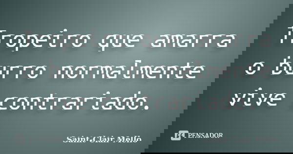 Tropeiro que amarra o burro normalmente vive contrariado.... Frase de Saint-Clair Mello.