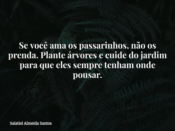 Se você ama os passarinhos, não os prenda. Plante árvores e cuide do jardim para que eles sempre tenham onde pousar.... Frase de Salatiel Almeida Santos.