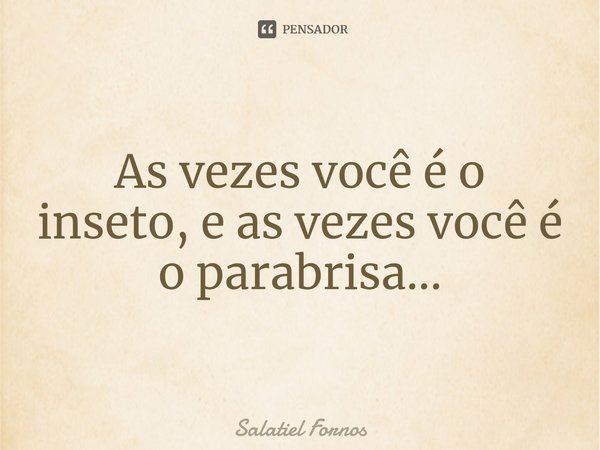 ⁠As vezes você é o inseto, e as vezes você é o parabrisa...... Frase de Salatiel Fornos.