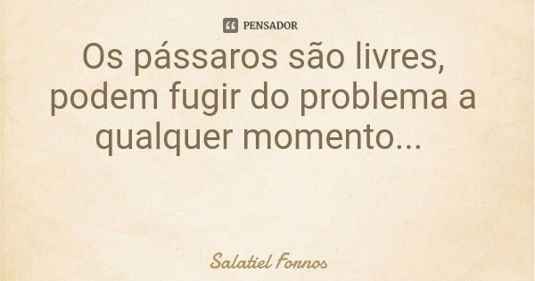 Os pássaros são livres, podem fugir do problema a qualquer momento...... Frase de Salatiel Fornos.