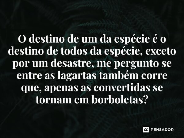 ⁠O destino de um da espécie é o destino de todos da espécie, exceto por um desastre, me pergunto se entre as lagartas também corre que, apenas as convertidas se... Frase de Salatiel Meira.