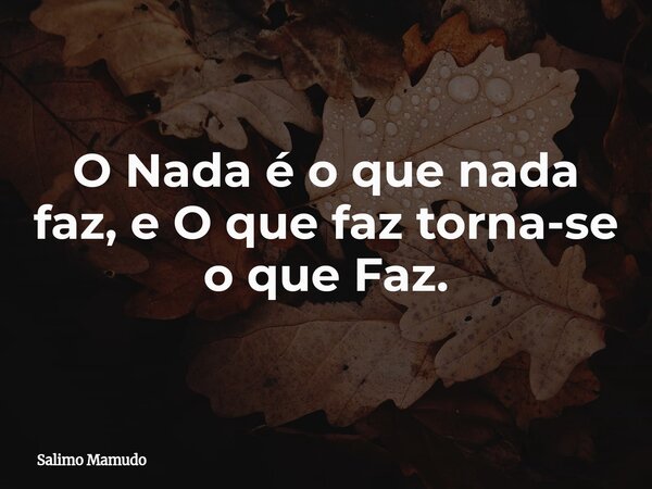 O Nada é o que nada faz, e O que⁠ faz torna-se o que Faz.... Frase de Salimo Mamudo.