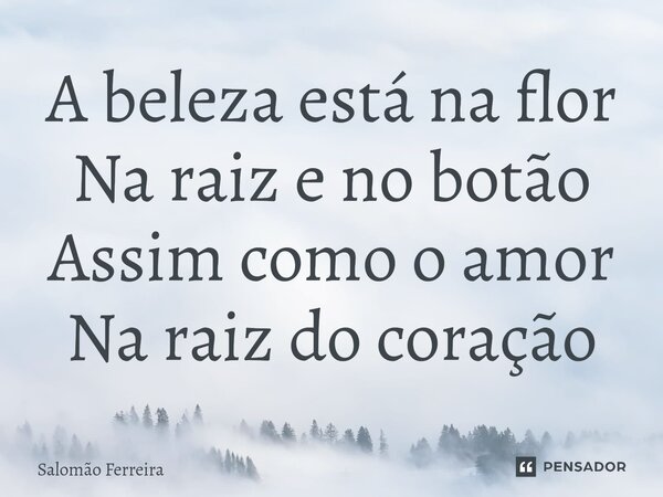 ⁠A beleza está na flor Na raiz e no botão Assim como o amor Na raiz do coração... Frase de Salomão Ferreira.
