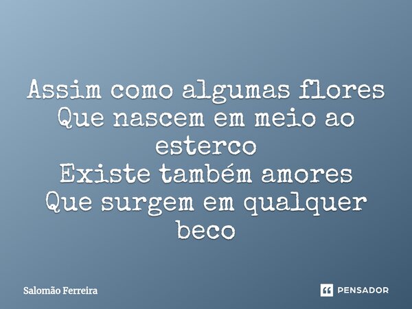 ⁠Assim como algumas flores Que nascem em meio ao esterco Existe também amores Que surgem em qualquer beco... Frase de Salomão Ferreira.