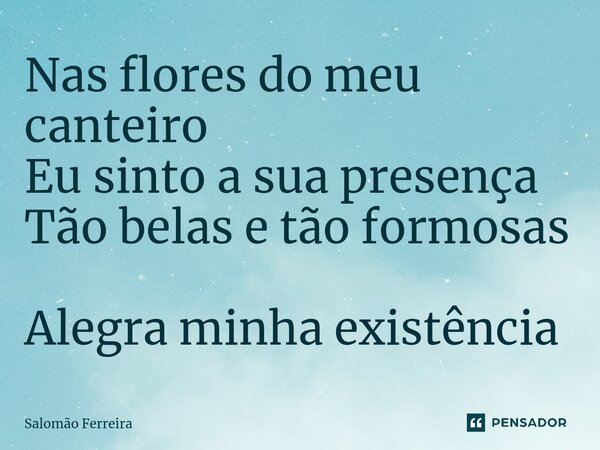 ⁠Nas flores do meu canteiro Eu sinto a sua presença Tão belas e tão formosas Alegra minha existência... Frase de Salomão Ferreira.
