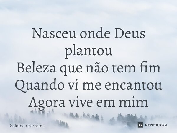 ⁠Nasceu onde Deus plantou Beleza que não tem fim Quando vi me encantou Agora vive em mim... Frase de Salomão Ferreira.