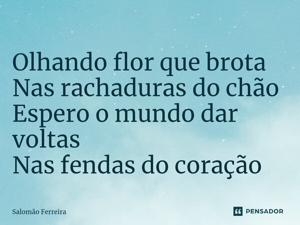 ⁠Olhando flor que brota Nas rachaduras do chão Espero o mundo dar voltas Nas fendas do coração... Frase de Salomão Ferreira.