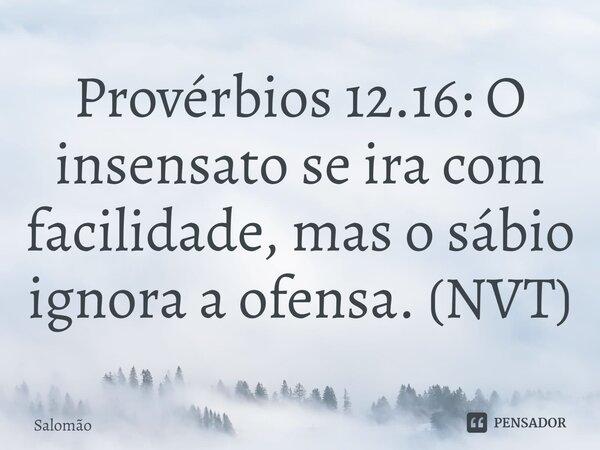 ⁠Provérbios 12.16: O insensato se ira com facilidade, mas o sábio ignora a ofensa. (NVT)... Frase de Salomão.