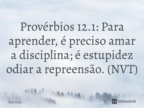 ⁠Provérbios 12.1: Para aprender, é preciso amar a disciplina; é estupidez odiar a repreensão. (NVT)... Frase de Salomão.