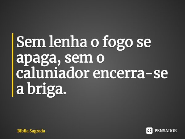 ⁠Sem lenha o fogo se apaga, sem o caluniador encerra-se a briga.... Frase de Bíblia Sagrada.