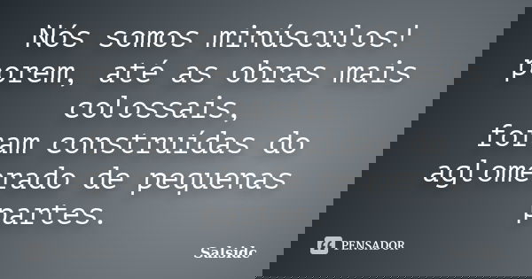 Nós somos minúsculos! porem, até as obras mais colossais, foram construídas do aglomerado de pequenas partes.... Frase de salsidc.