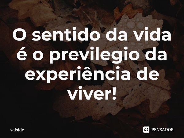 ⁠O sentido da vida
é o privilegio da experiência de viver!... Frase de salsidc.